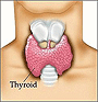 CPET and thyroid function